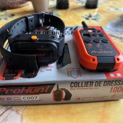Collier de dressage prohunt 1000m 2