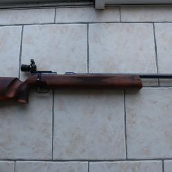 ANSCHUTZ 54 MATCH en Ponc&eacute;e-Huil&eacute;e