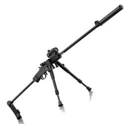 VENDS CHIAPPA FIREARMS mod&egrave;le LITTLE BADGER
