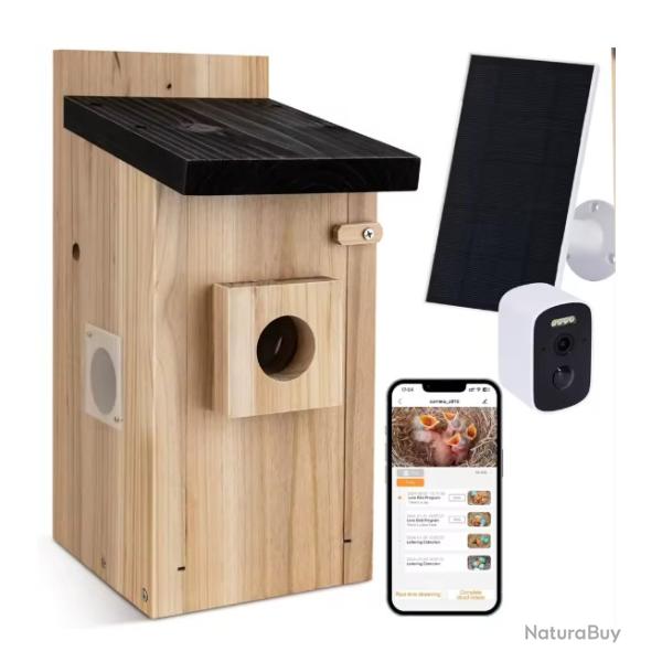 Nichoir ext�rieur avec cam�ra, nichoir intelligent, d�tection de mouvement, enregistrement vid�o