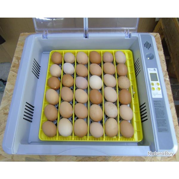 Couveuse automatique 36 oeufs - NEUVE - Tr�s facile d'utilisation