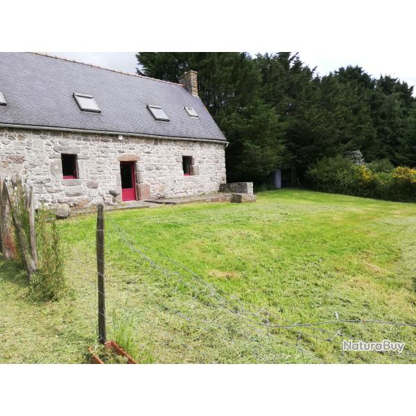 Chasse grand Gibier C�tes d'Armor 2026/2027