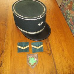 INSIGNE  EAU ET FORETS