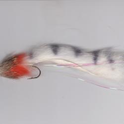 P&ecirc;che des Carnassiers Anti bredouille garantie avec un Zonker