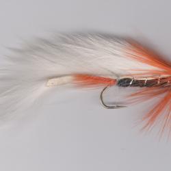 P&ecirc;che des Carnassiers  avec Le zonker : pourquoi &ccedil;a marche si bien ?