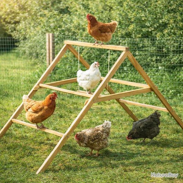 Perchoir poules en bois 2 �chelles avec balan�oire