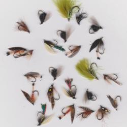 P&ecirc;che Truite &agrave; la Mouche ; Lot de c( s&egrave;ches Hame&ccedil;on 16