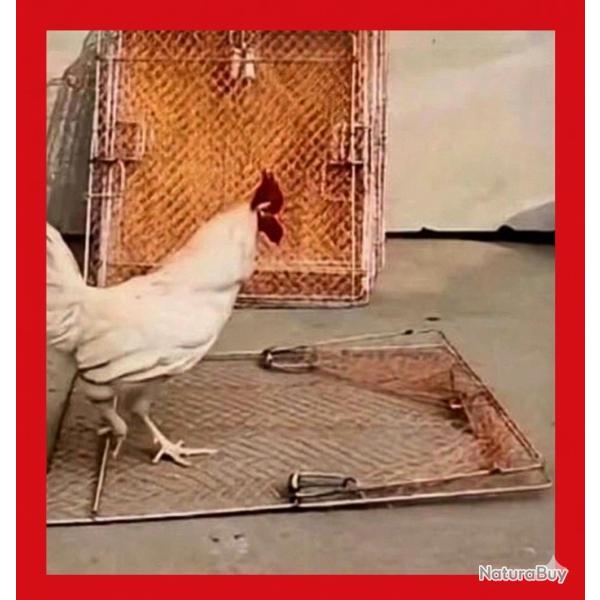 Filet de Capture Puissant pour Pigeons et Canards ( livraison gratuite )