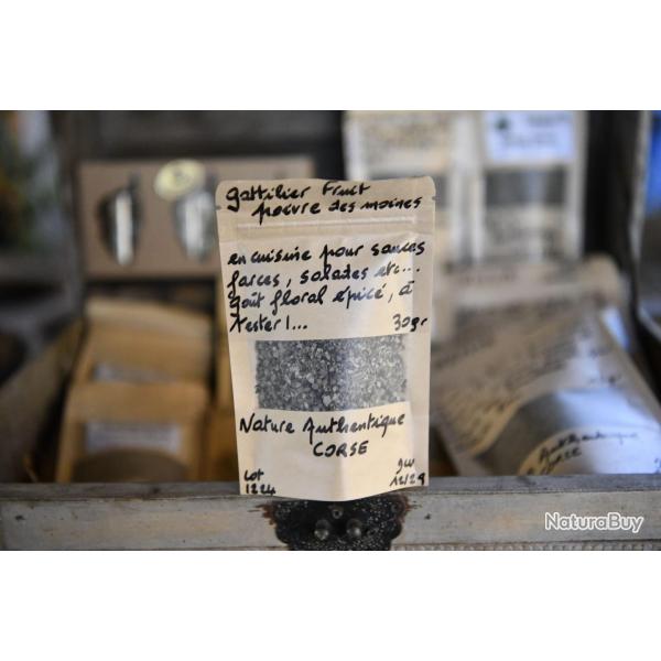 Le gattilier corse:  poivre des moines du maquis