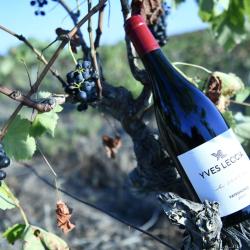 E croce rouge Yves Leccia