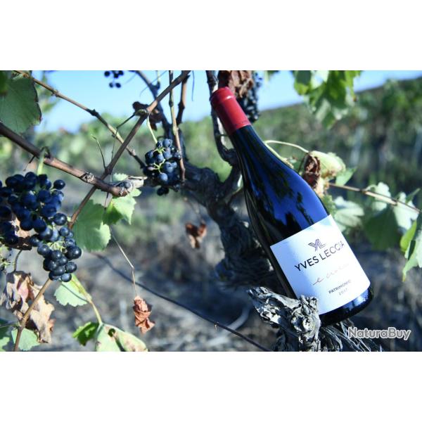 E croce rouge Yves Leccia