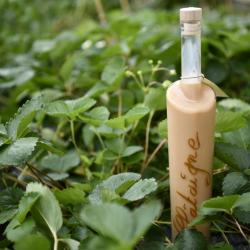 Creme de chataigne corse de l'or&eacute;e du maquis 20cl.