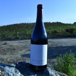 Vin rouge Ciafara du domaine buzzo bunifazziu