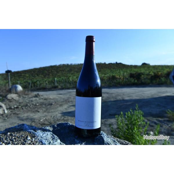 Vin rouge Ciafara du domaine buzzo bunifazziu