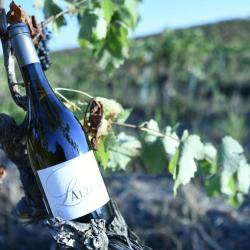 Alzeto prestige blanc