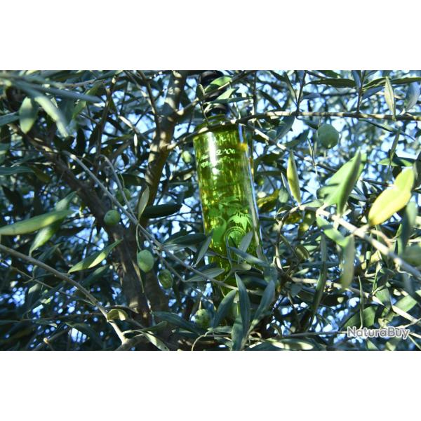 Huile d'olive bio extra vierge santa lucia 25cl.