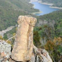 Lonzu artisanal corse de F&eacute;lix Costantini 500g