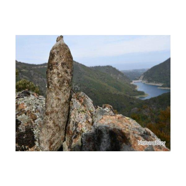 Saucisson corse de F�lix Costantini 900-950g