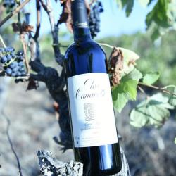 Clos Canarelli Rouge