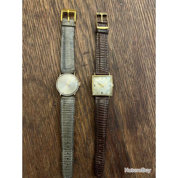 montre Lord Elgin et Modena 17 jewels