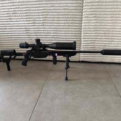 Carabine ata alr 308