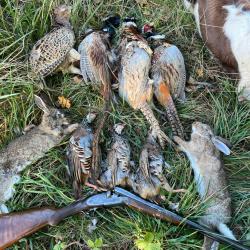 Action de chasse petit Gibier