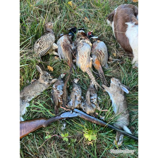 Action de chasse petit Gibier