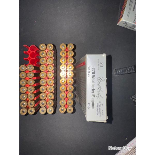Munitions 270 weatherby magnum 100grain