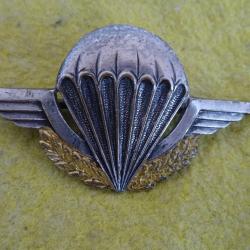 brevet initiation para 4 sauts