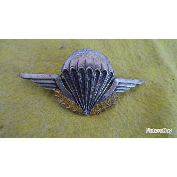 brevet initiation para 4 sauts