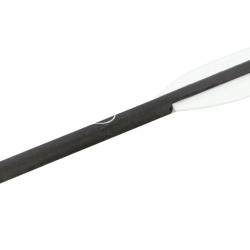 Traits carbon pour Revo 7