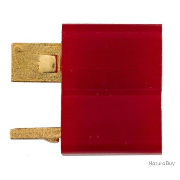 FICHE T-DEAN FEMELLE