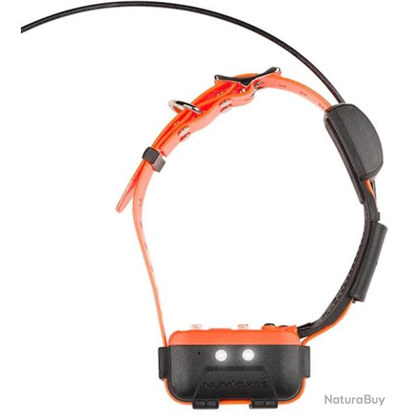 Collier seul Canicom GPS 2