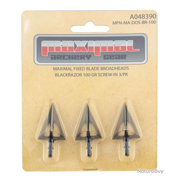 Pointes de fl�ches 100gr