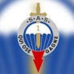 17 SPARCLETTES 12 GRAMMES CO2 MEILLEURE SELECTION POUR VOTRE DEFENSE