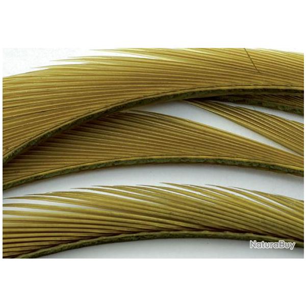 Oie biots quills cahill bactis