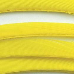 Oie biots quills jaune