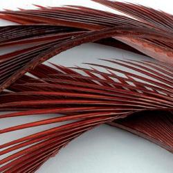 Oie biots quills rusty brown