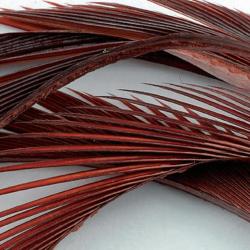 Oie biots quills rusty brown
