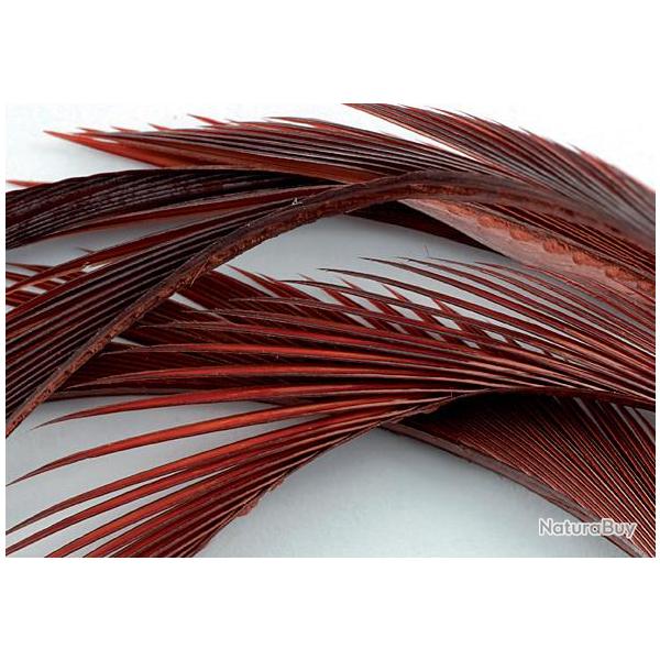 Oie biots quills rusty brown