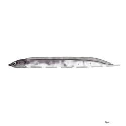 Leurre Souple Fish Arrow Flash J Shirasu SW 8cm 104