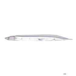 Leurre Souple Fish Arrow Flash J Shirasu SW 8cm 146