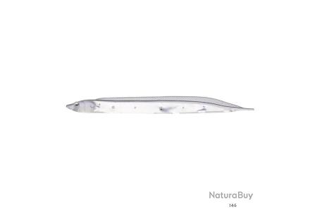 Acheter Leurre souple Fish Arrow Flash J Shirasu SW 3 pouces 5 pièces par paquet #125 (8550