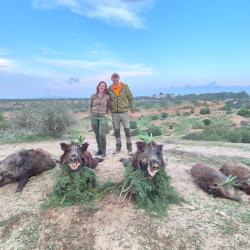 La chasse du sanglier en Tunisie