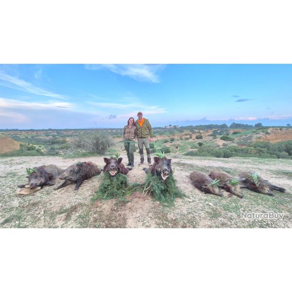 La chasse du sanglier en Tunisie