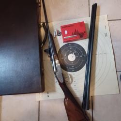 RARE COMBIN&Eacute; EXPRESS V&Eacute;RITABLES PLATINES ARTISANAL FRANCAIS AVEC POINT ROUGE ET UN JEU CANONS CAL20!