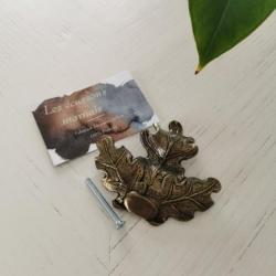 Feuille de ch&ecirc;ne