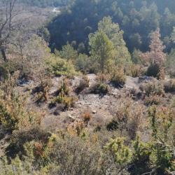 Action chasse Espagne