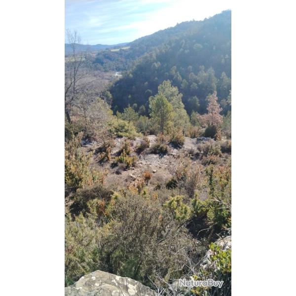 Action chasse Espagne