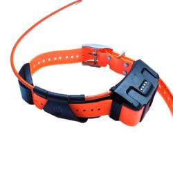 Garmin collier DC 50 FR reconditionn&eacute; r&eacute;vis&eacute; et test&eacute;